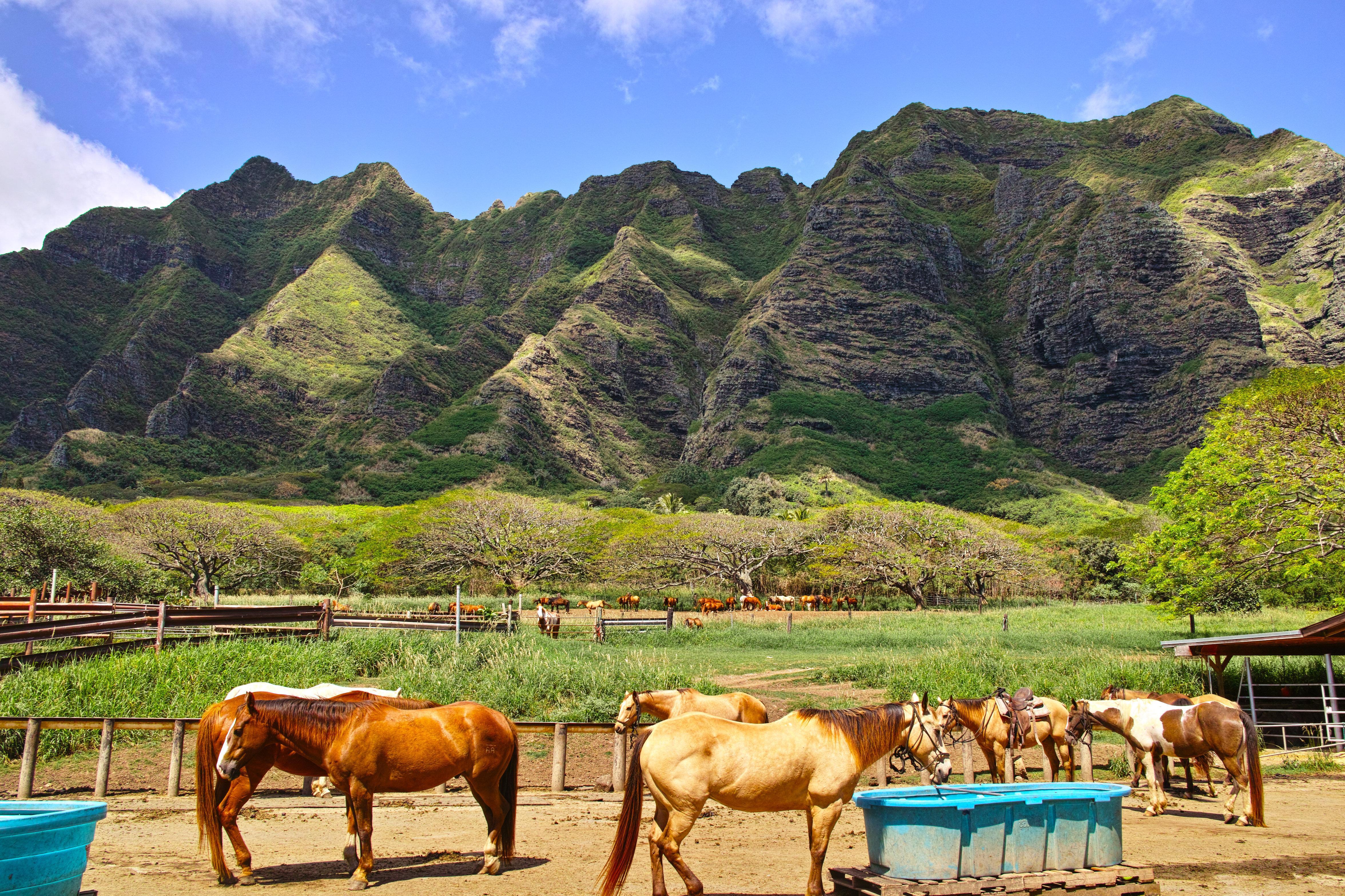 Holiday Inn Express Waikiki By Ihg Honolulu Eksteriør bilde